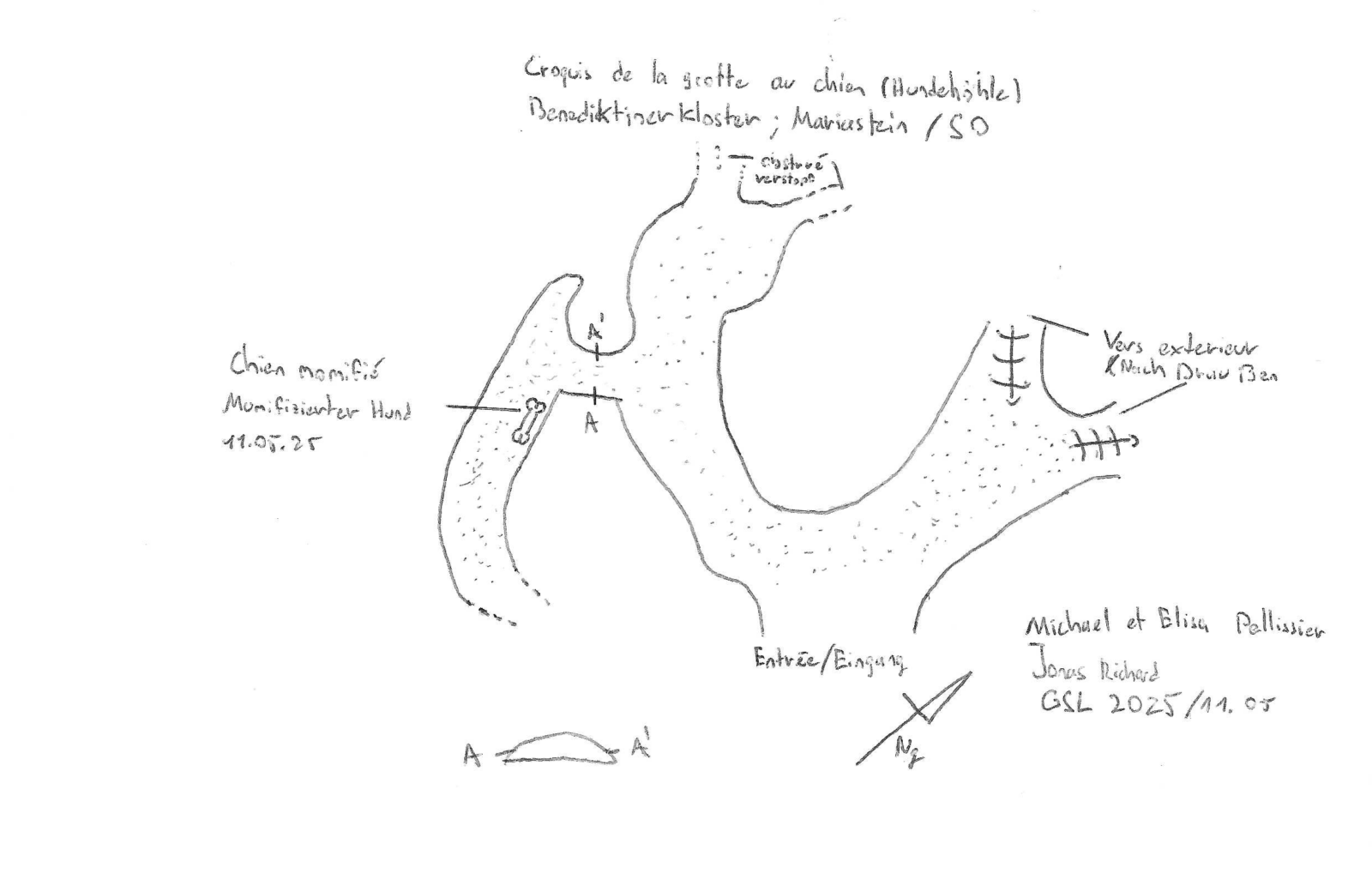 Croquis de la cavité